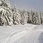 Zur Henne Hotel Schmiedefeld am Rennsteig