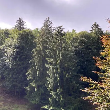 Zur Henne Hotel Schmiedefeld am Rennsteig