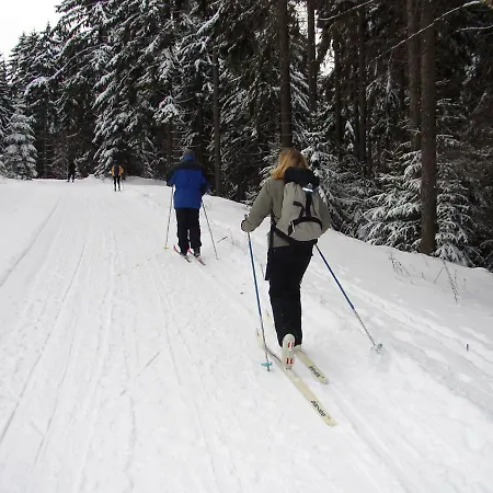 Zur Henne Hotel Schmiedefeld am Rennsteig