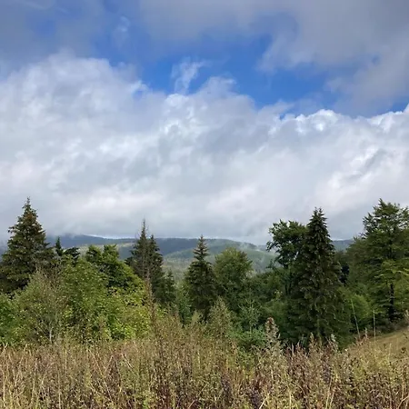 Hotel Zur Henne Schmiedefeld am Rennsteig