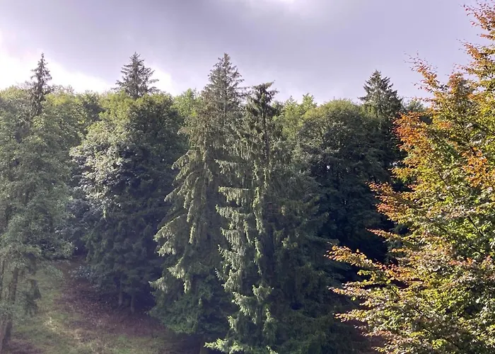 Zur Henne Hotel Schmiedefeld am Rennsteig