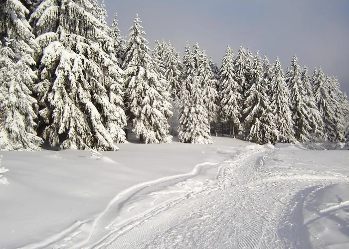 Zur Henne Hotel Schmiedefeld am Rennsteig