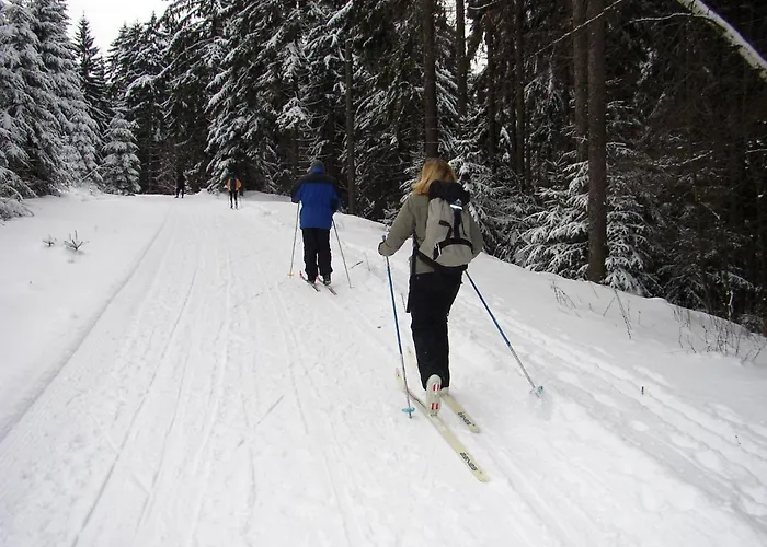 Zur Henne Hotel Schmiedefeld am Rennsteig