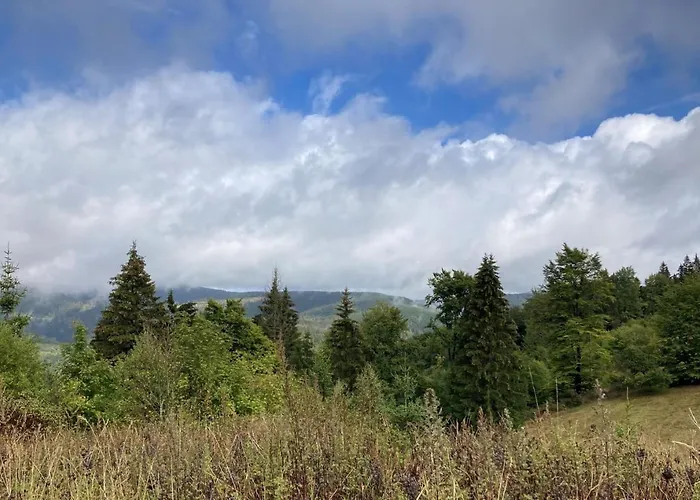 Hotel Zur Henne Schmiedefeld am Rennsteig
